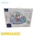 Gimnasio didáctico niño