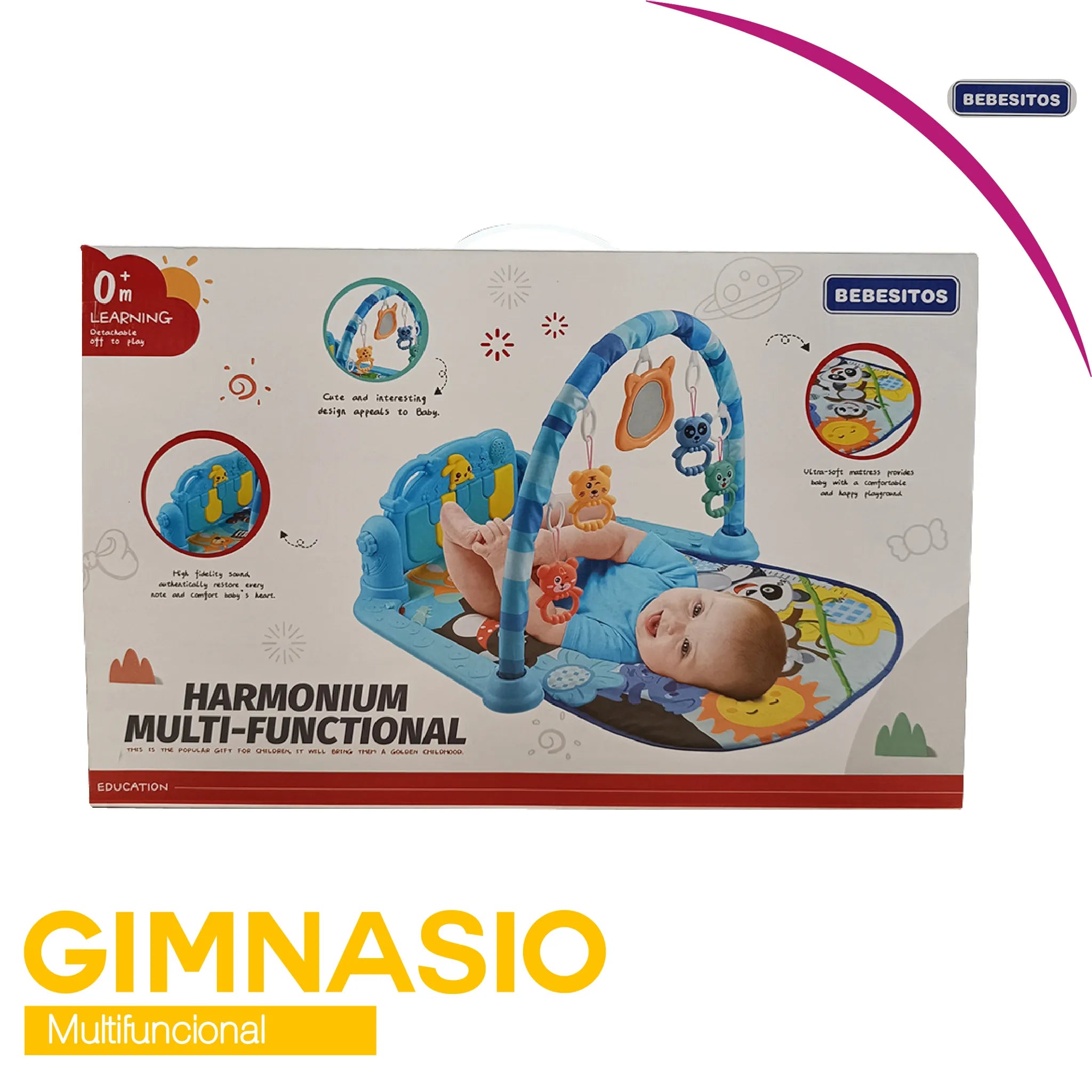 Gimnasio Multifuncional