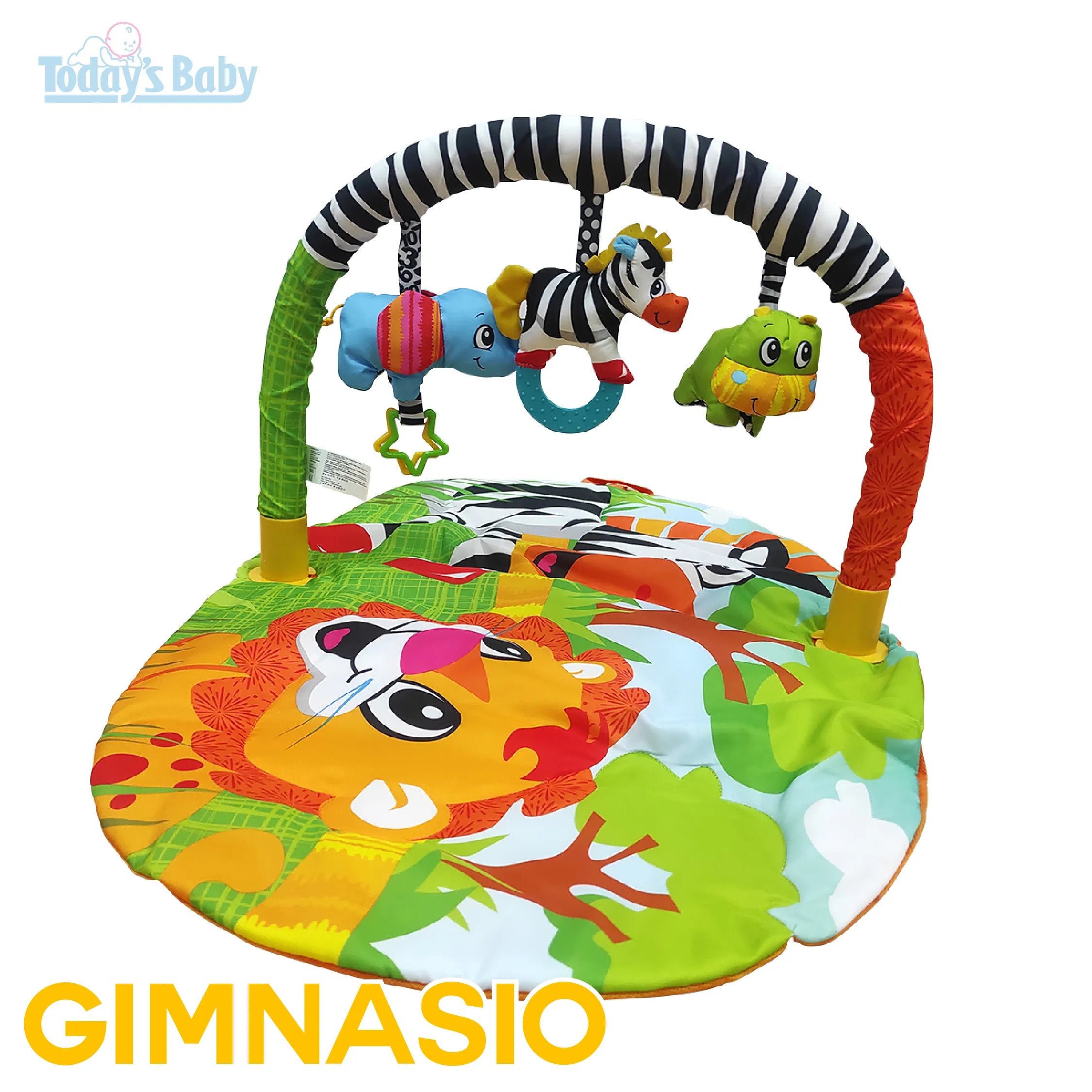 Gimnasio Melody Maker